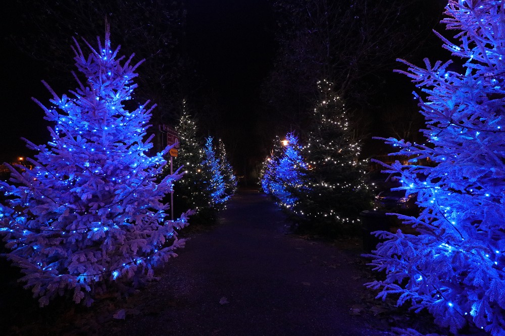 Colmar - La Magie de Noel