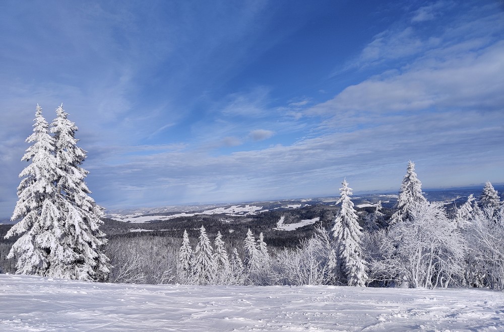 Adventsreise in den Schwarzwald