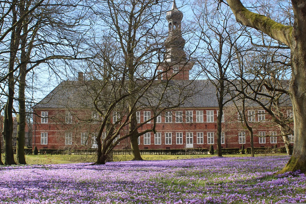 Krokusblüte in Husum